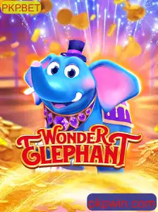 Explorando o Fascinante Mundo de WonderElephant